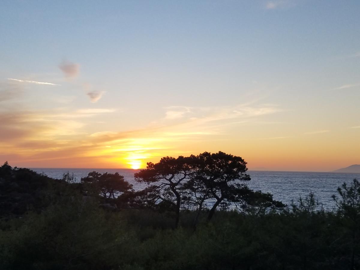 Rocas Roja Beach Hotel ファラリア エクステリア 写真