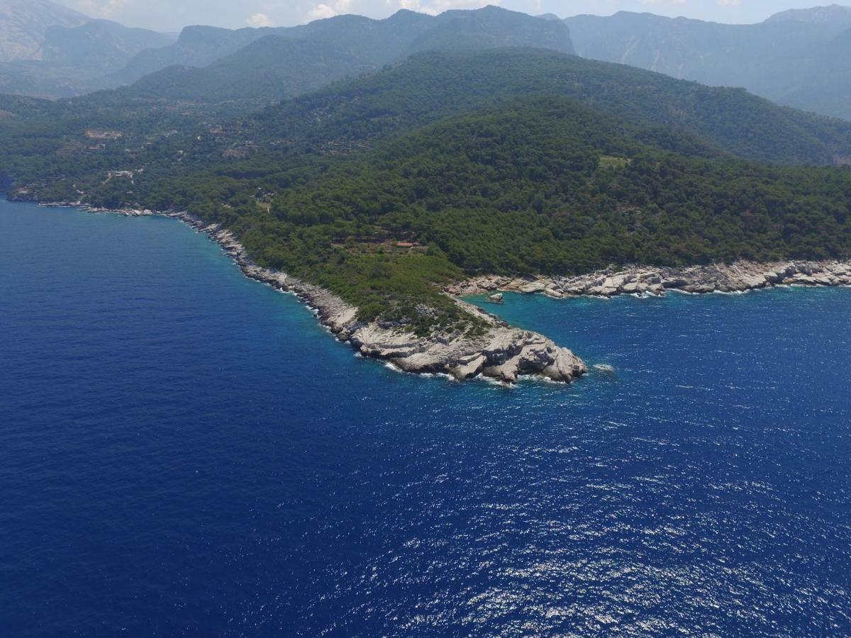 Rocas Roja Beach Hotel ファラリア エクステリア 写真